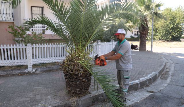 Nazilli sokakları sonbahara hazırlanıyor