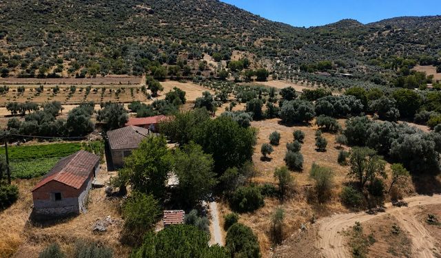 Nazilli’de antik oda mezarı tescillendi: Tarihi yapı yasal koruma altına alındı
