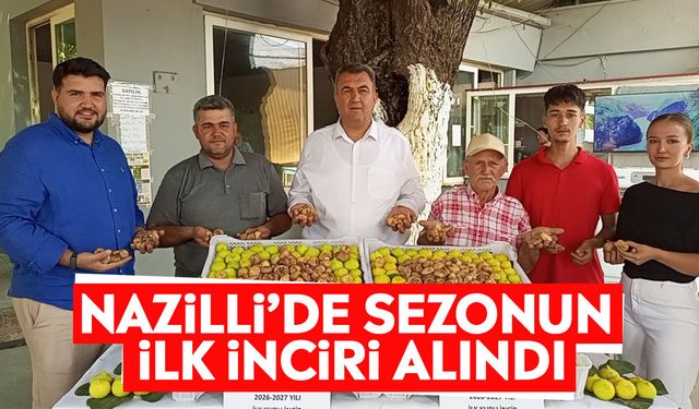 Nazilli’de sezonun ilk inciri alındı