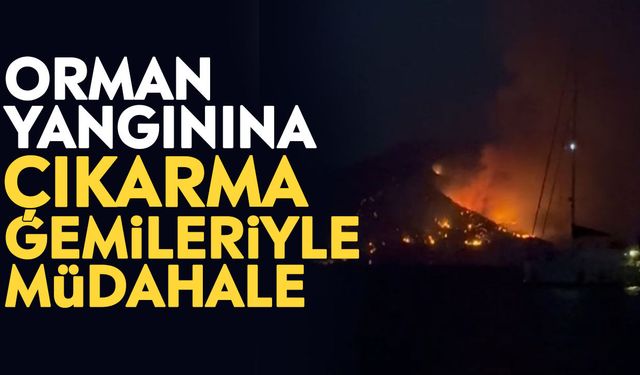 Orman yangınına çıkarma gemileriyle müdahale