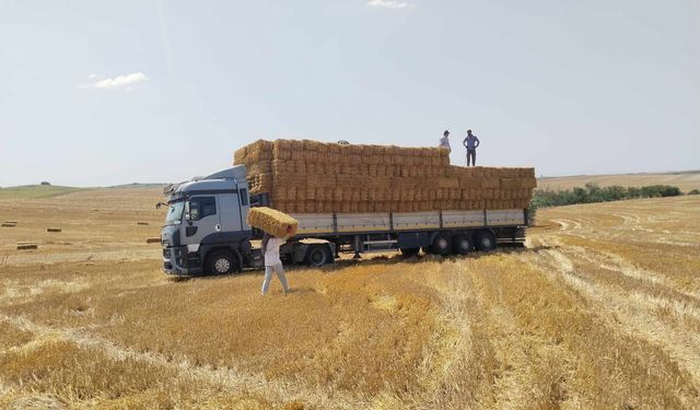 Tekirdağ'dan Çine'ye bir tır dolusu yardım