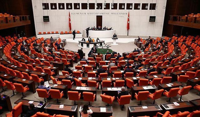 Türkiye için tarihi karar: Çerçeve Yasa kanunlaştı