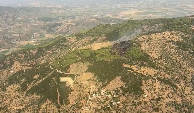 Asayiş
