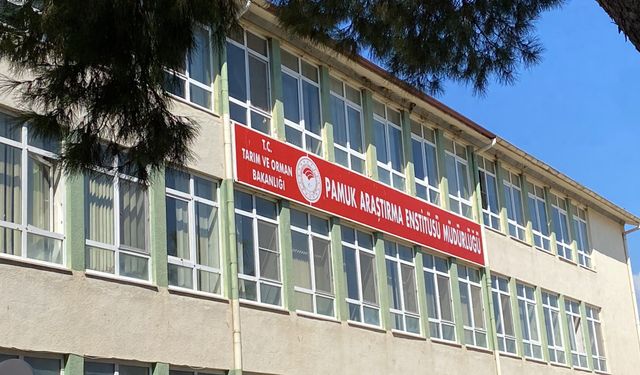 Asayiş