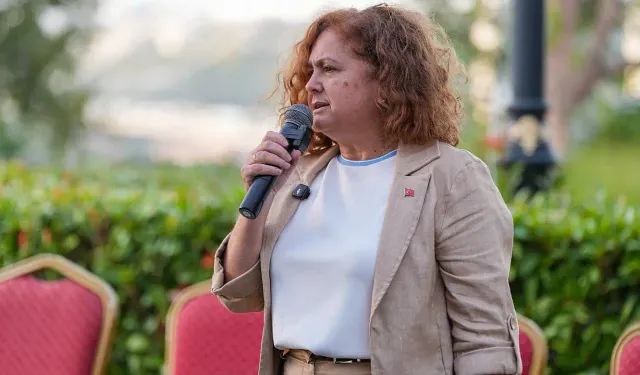 Sibel Tan Çetinkaya kimdir, hangi partiden ve kaç yaşında?