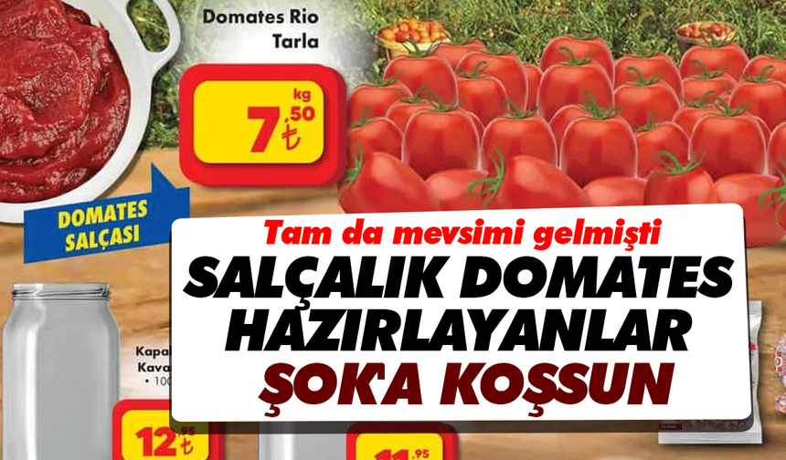 Tam da mevsimi gelmişti: Salçalık domates hazırlayanlar ŞOK'a koşsun