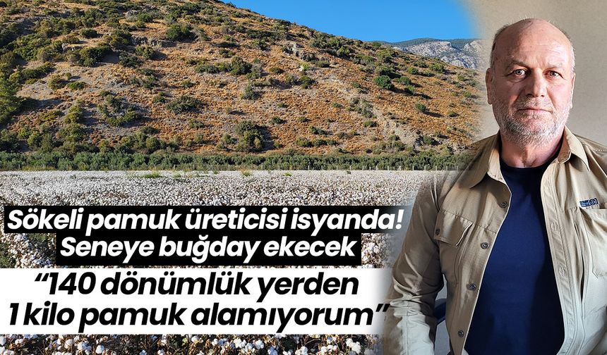 Sökeli pamuk üreticisi isyanda! “140 dönümlük yerden 1 kilo pamuk alamıyorum”