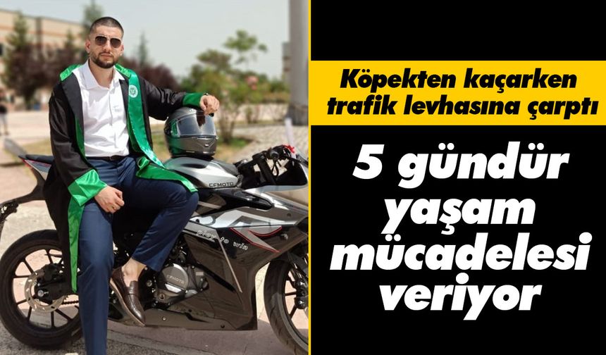 Köpekten kaçarken trafik levhasına çarptı! 5 gündür yaşam mücadelesi veriyor