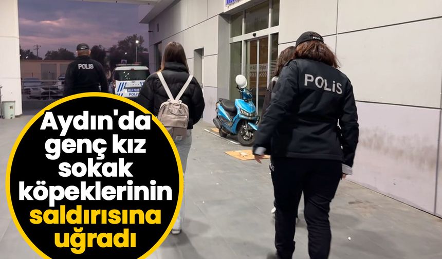 Aydın'da genç kız sokak köpeklerinin saldırısına uğradı