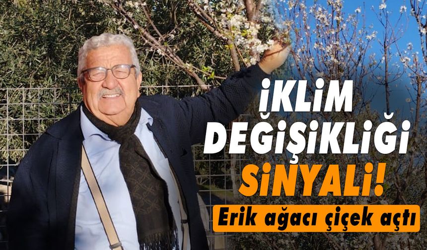 İklim değişikliği sinyali! Erik ağacı çiçek açtı