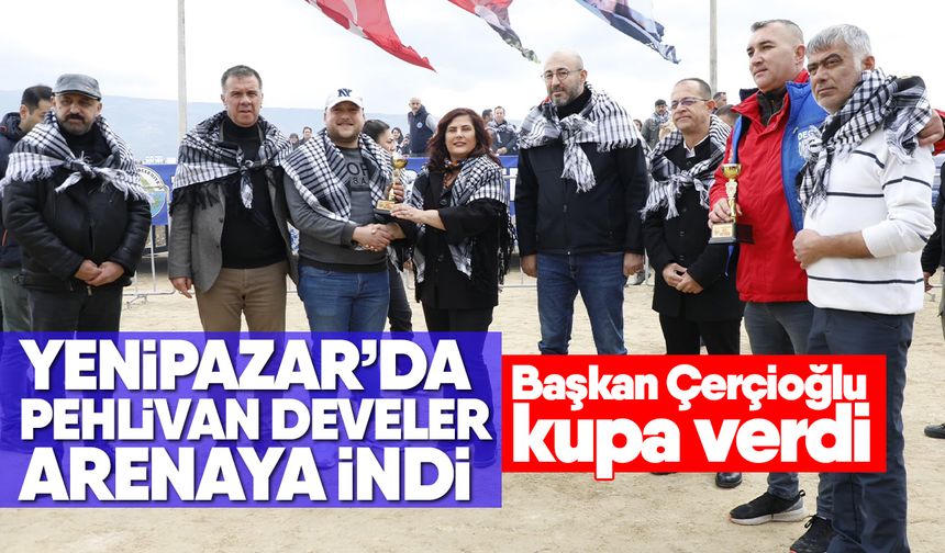 Yenipazar’da pehlivan develer arenaya indi