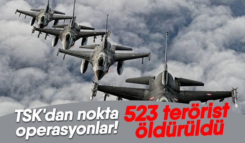 TSK'dan nokta operasyonlar! 523 terörist öldürüldü