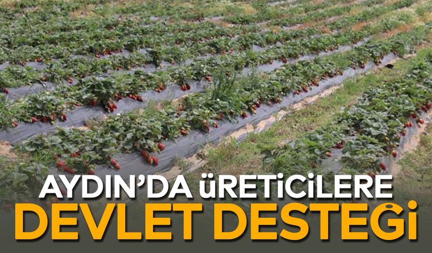 Aydın’da üreticilere devlet desteği