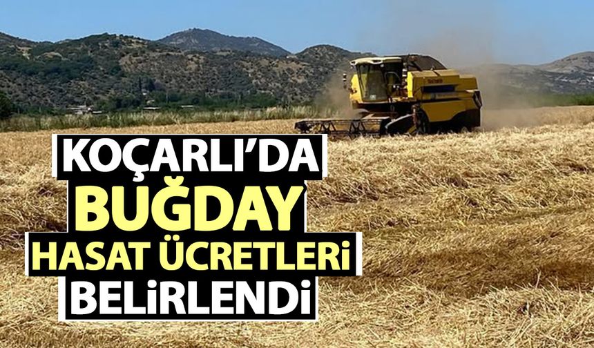 Koçarlı’da buğday hasat ücretleri belirlendi