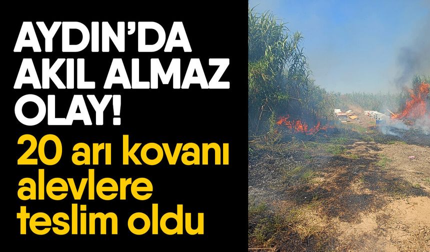 Aydın’da akıl almaz olay! 20 arı kovanı alevlere teslim oldu