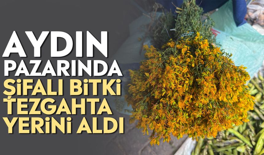 Aydın pazarında şifalı bitki tezgahta yerini aldı