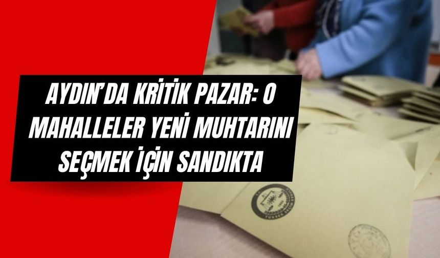 Aydın’da Sandık Yeniden Kuruluyor! 6 Mahallede Seçim Olacak