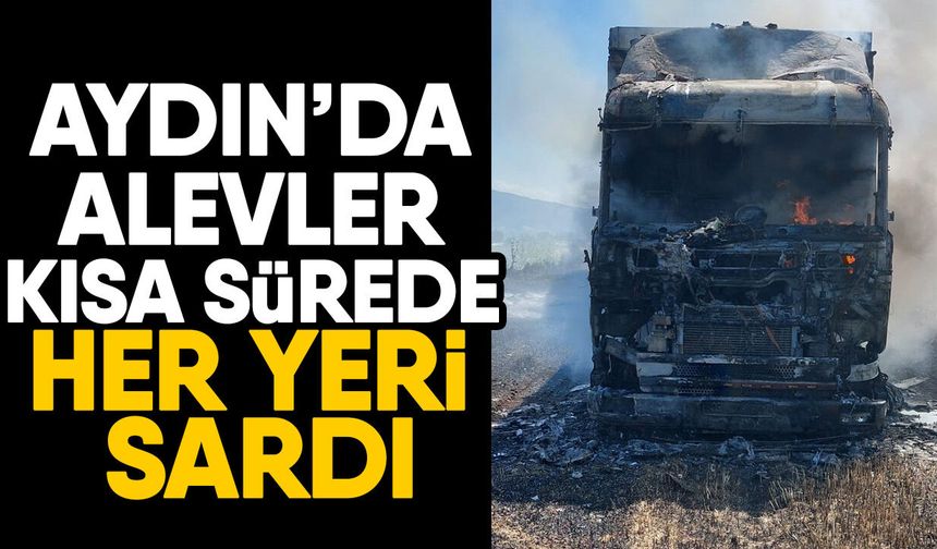 Aydın’da alevler kısa sürede her yeri sardı