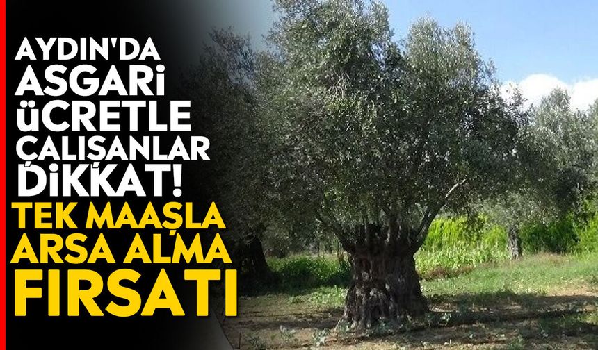Aydın'da asgari ücretle çalışanlar dikkat! Tek maaşla arsa alma fırsatı