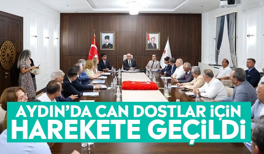 Aydın’da can dostlar için harekete geçildi