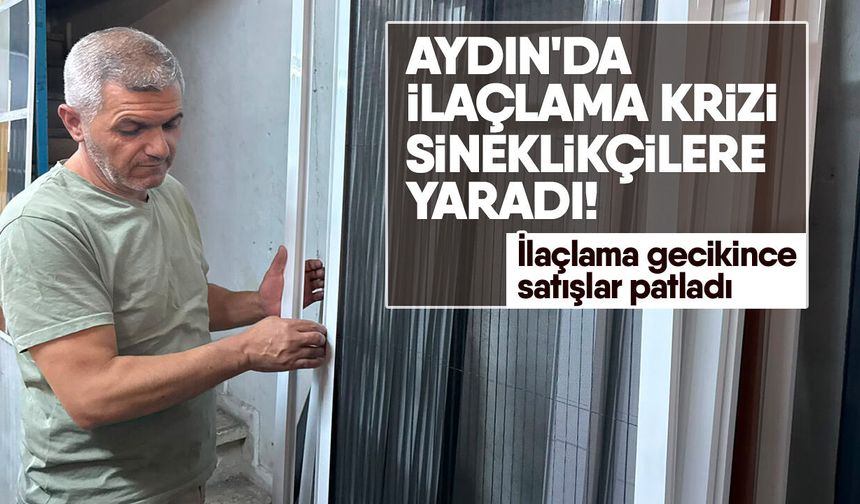 Aydın'da ilaçlama krizi sineklikçilere yaradı! İlaçlama gecikince satışlar patladı