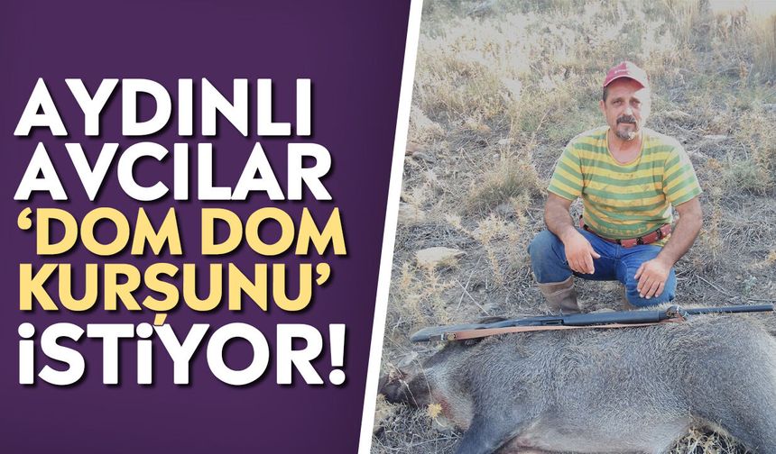Aydın'da sürek avı başladı