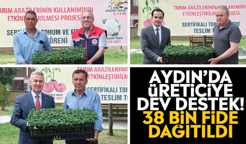 Aydın’da üreticiye dev destek! 38 bin fide dağıtıldı