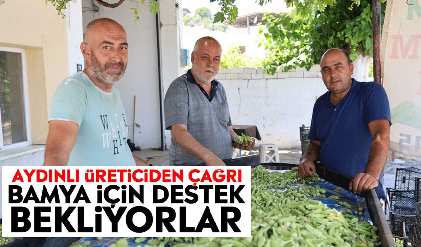 Aydınlı üreticiden çağrı: Bamya için destek bekliyorlar