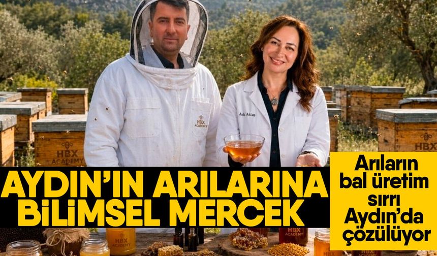 Aydın’ın arılarına bilimsel mercek! Arıların bal üretim sırrı Aydın’da çözülüyor