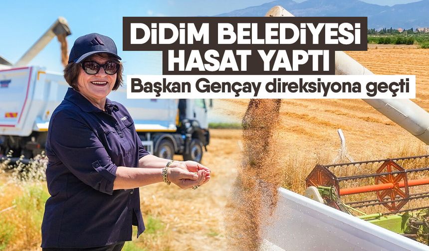 Didim Belediyesi hasat yaptı! Başkan Gençay direksiyona geçti