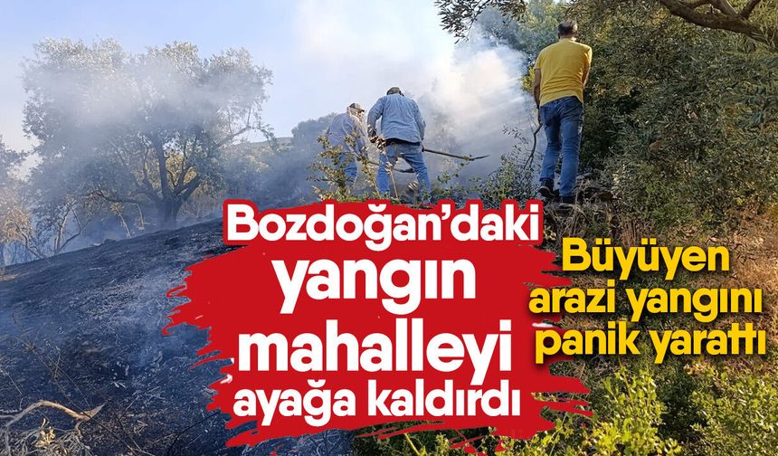 Bozdoğan’daki yangın mahalleyi ayağa kaldırdı! Büyüyen arazi yangını panik yarattı
