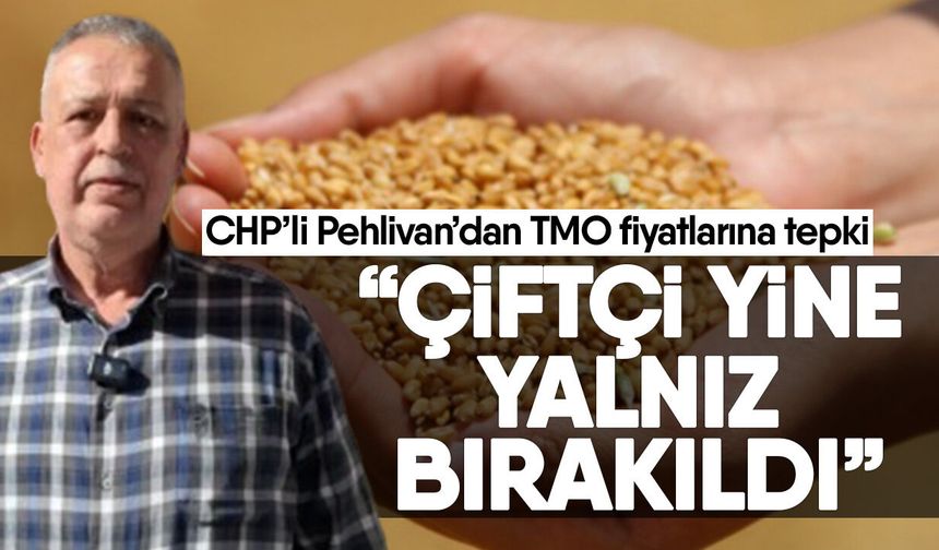 CHP’li Pehlivan’dan TMO fiyatlarına tepki