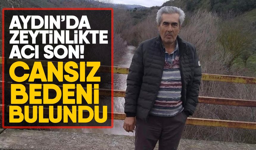 Aydın’da zeytinlikte acı son! Cansız bedeni bulundu