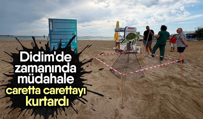 Didim'de zamanında müdahale caretta carettayı kurtardı