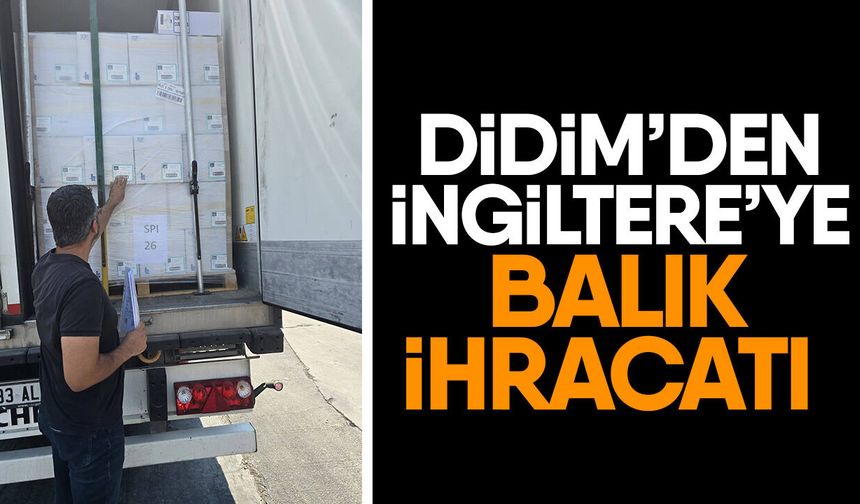 Didim’den İngiltere’ye balık ihracatı