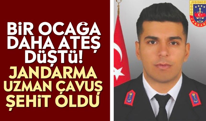 Bir ocağa daha ateş düştü! Jandarma uzman çavuş şehit oldu