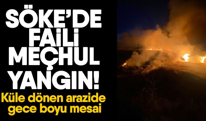 Söke’de faili meçhul yangın! Küle dönen arazide gece boyu mesai