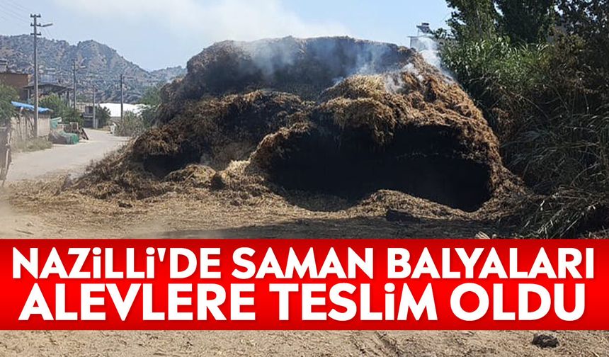 Nazilli'de saman balyaları alevlere teslim oldu