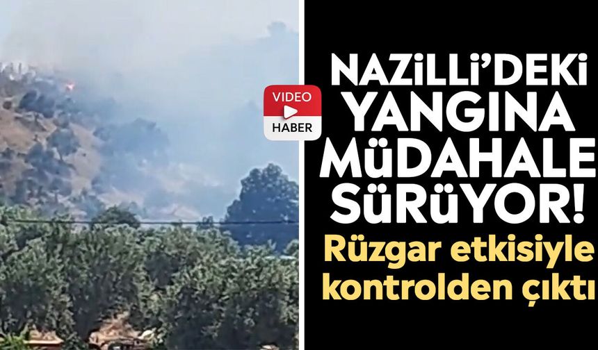Nazilli’deki yangına müdahale sürüyor! Rüzgar etkisiyle kontrolden çıktı