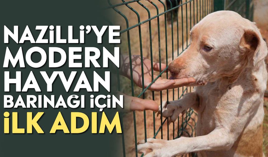 Nazilli’ye modern hayvan barınağı için ilk adım