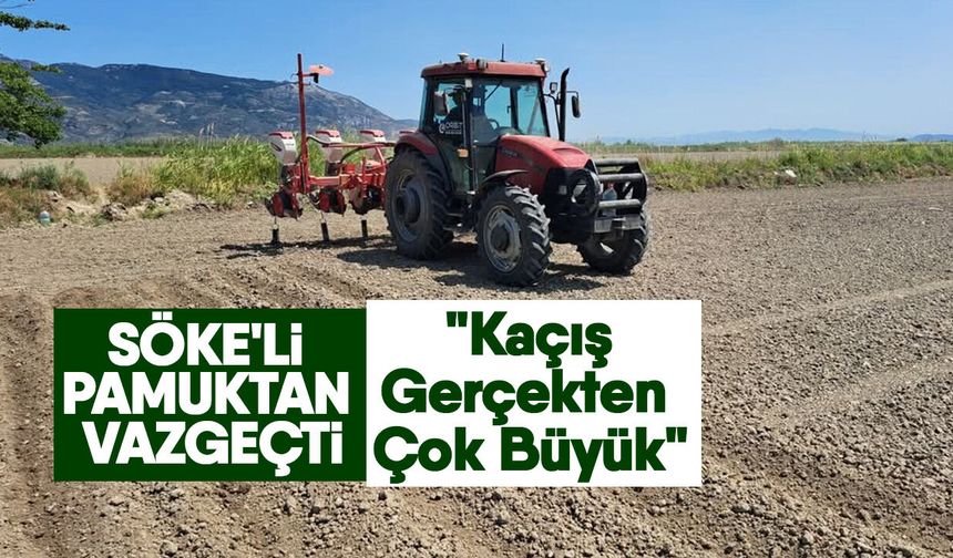 Söke'li Pamuktan Vazgeçti!  "Kaçış Gerçekten Çok Büyük"
