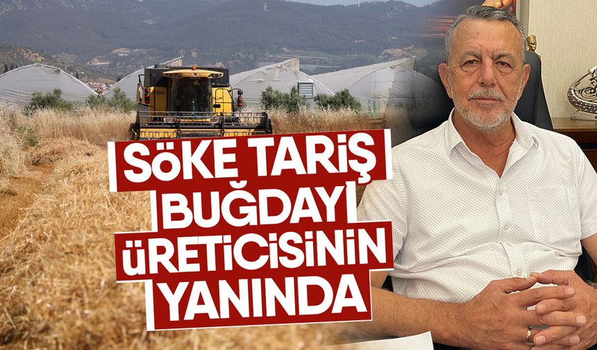 Söke Tariş buğday üreticisinin yanında