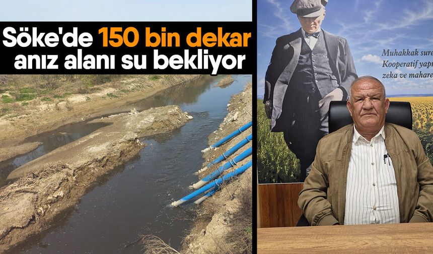 Söke'de 150 bin dekar anız alanı su bekliyor