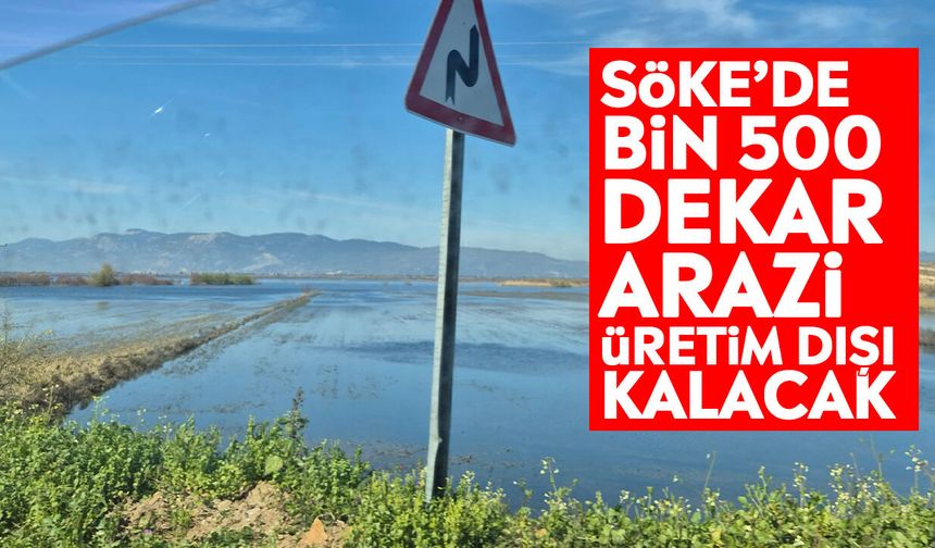 Söke’de bin 500 dekar arazi üretim dışı kalacak