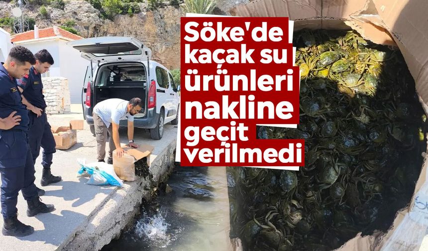Söke'de kaçak su ürünleri nakline geçit verilmedi