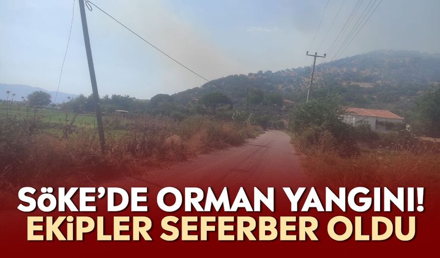 Söke’de orman yangını! Ekipler seferber oldu