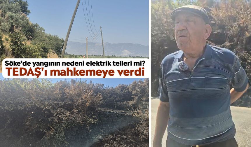 Söke’de yangının nedeni elektrik telleri mi? TEDAŞ'ı mahkemeye verdi