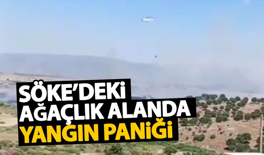 Söke’deki ağaçlık alanda yangın paniği