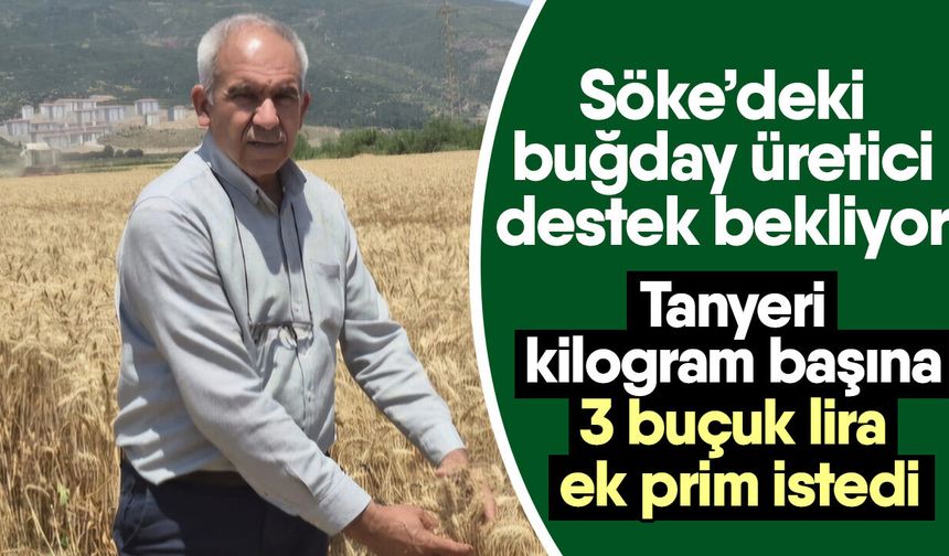 Söke’deki buğday üretici destek bekliyor
