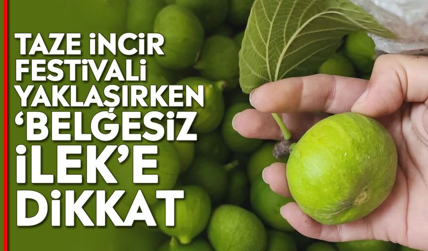 Taze İncir Festivali yaklaşırken ‘Belgesiz ilek’e dikkat